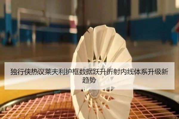 独行侠热议莱夫利护框数据跃升折射内线体系升级新趋势